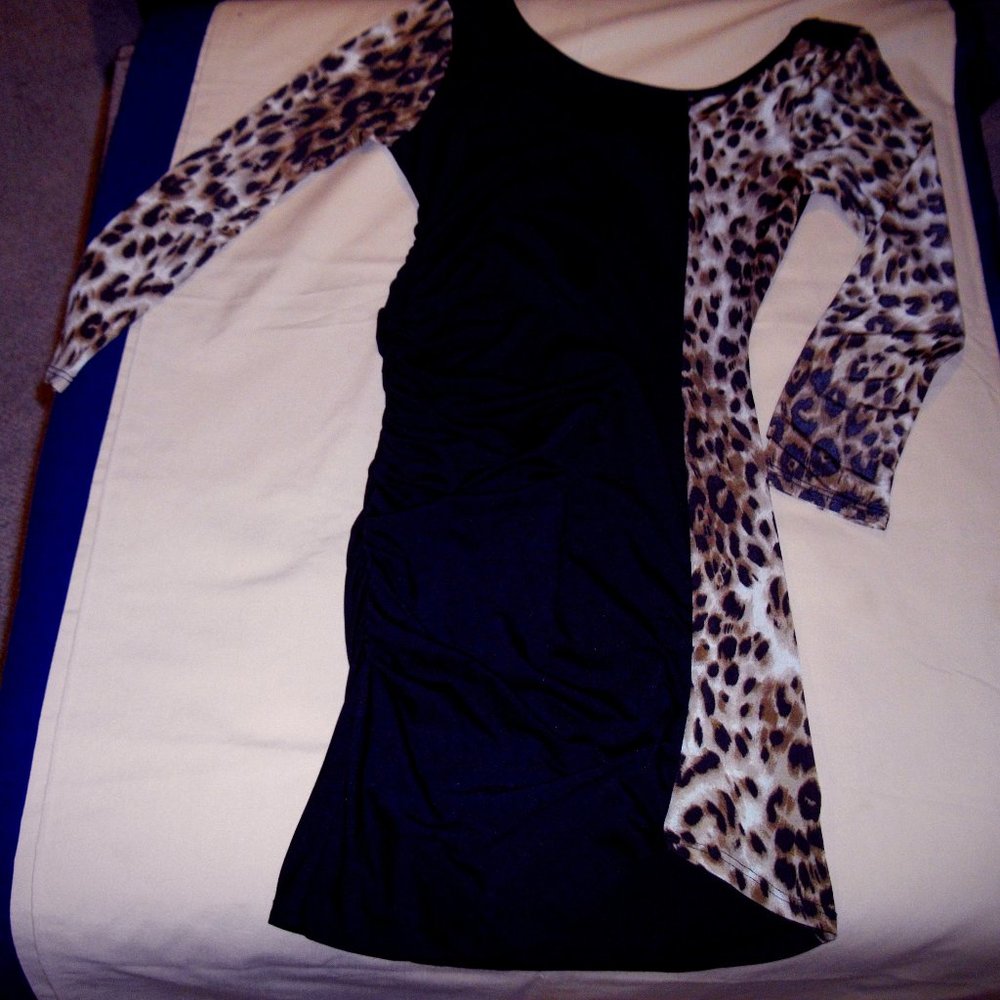 Chesley Small Long Sleeve 🐆Animal Print Dress